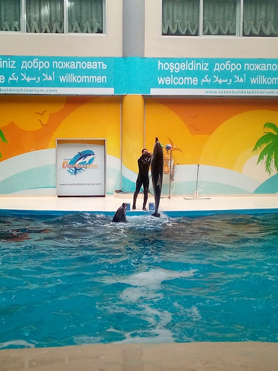 Grand Haliç Restaurant-3