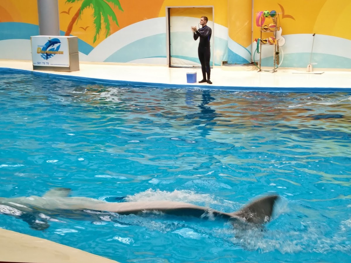 Grand Haliç Restaurant-4